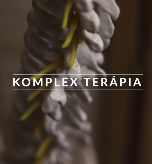 Bakony Gerince Praxis_03_500x540_resize