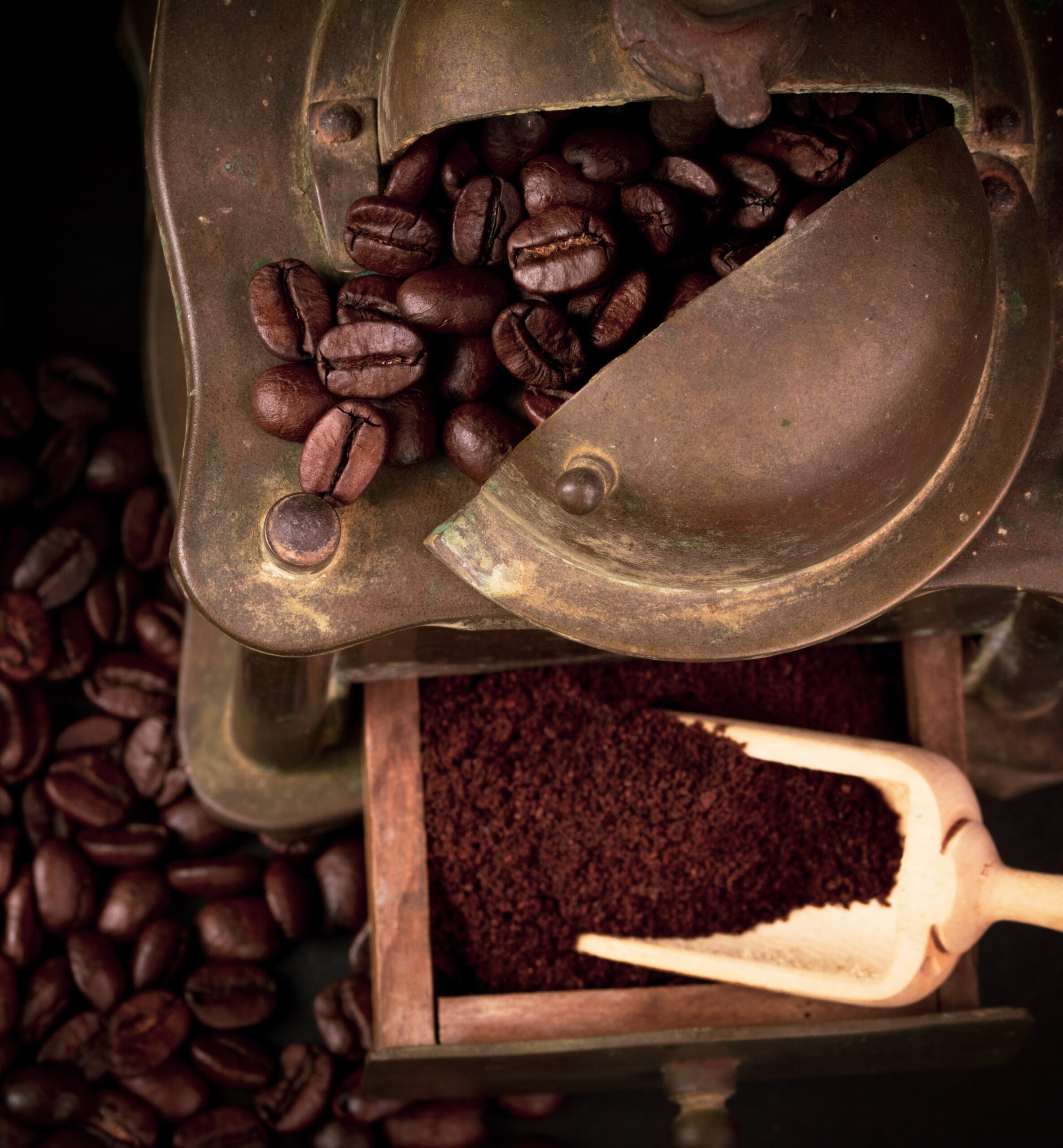 2021_10_11_-_IMG_7701_sel_ed_cut_web_01