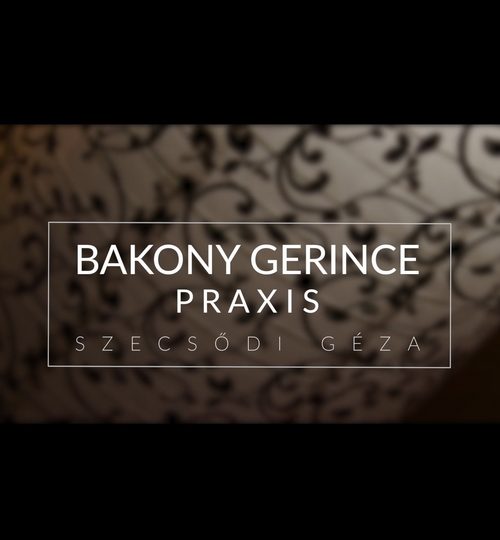 Bakony Gerince Praxis_02_500x540_resize